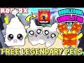 🔴 ROBLOX LIVE 🔴 GIVING AWAY LEGENDARY PETS IN BUBBLEGUM SIMULATOR + Robux Gift Card