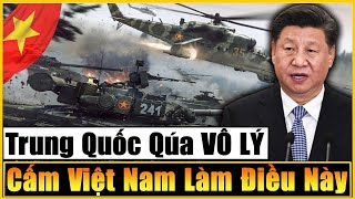 Lý Do Thực Sự Vì Sao Trung Quốc Cảnh Cáo Cấm Việt Nam Làm Điều Này Sự Thật Khiến Cả TG GIẬT MÌNH