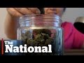 Canada's legal pot industry