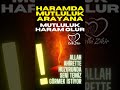 haramda mutluluk arayana mutluluk haram olur kalbizikir shortsviral shortsyoutube shortvideo