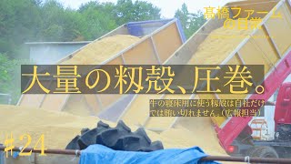 「髙橋ファーム」の日常＃24 完全防備の代表と最強社員、牛さんの寝床になる籾殻をもらいにいく作業風景です。