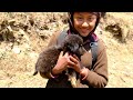 Where Tibet and Nepal Meet Tsum Valley Trekking, Nepal Himalaya