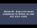 NodeJS : Execute bash command in Node.js and get exit code
