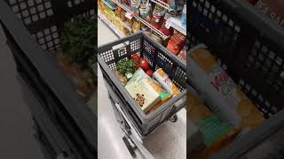 This  Folding Shopping Cart  | Best Shopping Carts For You Personal Use #shopping #trollybag