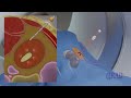 renal parenchymal biopsy