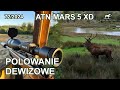 Polowanie dewizowe - ATN MARS 5 XD - SUDECKA OSTOJA 72/2024 deer hunting in poland