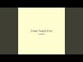 Ember Twilight Echo