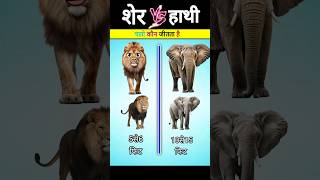 शेर vs हाथी #shorts #youtubeshorts @hungryHGY #lion #elephant #vairal #shorts #trending #vairal