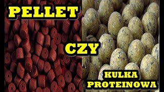 Pellet, czy kulka proteinowa? Co lepsze na karpia?