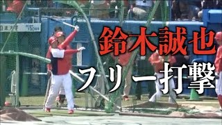 打球音が一人おかしい鈴木誠也　迫力満点のフリーバッティング【広島東洋カープ】