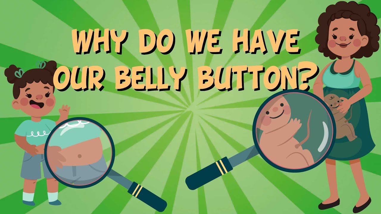 Kids Belly Button Belly Button Songрџћ Dance Party Cocomelon