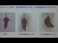 中部大学　学科ミニ講義　応用生物学部　食品栄養科学科　下村吉治先生