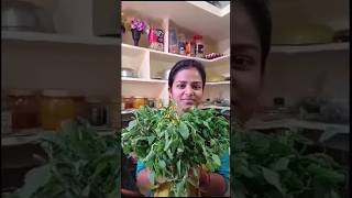 Bathua Aloo ki Sabzi #shorts #cooking vlog #food #indianfood