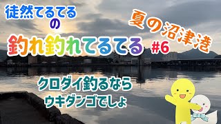 【徒然てるてるの釣れ釣れてるてる】第6弾