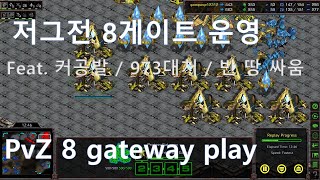 [Eng Sub] [PvZ] Typical PvZ Forge FE / Corsair \u0026 upgraded speedlots / stop hydra rush / 8 gate play 