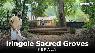 Iringole Kavu - The Largest sacred grove in Kerala VLOG