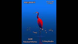 കനൽ - Daily Gospel Reflections,  Fr Binny Mary Das