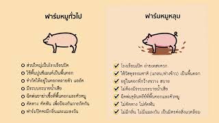 การเลี้ยงหมูหลุม