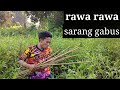 NAJUR IKAN GABUS DI RAWA YANG LAGI SURUT!!! PART 2