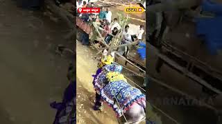 Bull Race | ಚೆಂದವಾಗಿ ಸಿಂಗಾರಗೊಂಡು ಓಡುವ ಹೋರಿಗಳು, ಸ್ಪರ್ಧೆಯ ಝಲಕ್ ನೋಡಿ | Uttara Kannada | #local18