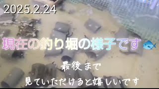 2025年2月24日 釣り堀の様子🐟