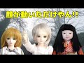 【人形劇】ドールがおすすめする恐怖映像 　人形系の恐怖映像をご紹介 【myoudoll＆市松人形＆truelovedoll＆スーパードルフィー】