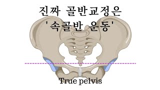 당신이 지금까지 한 골반교정이 효과가 없었던 이유ㅣ성교통ㅣ와이존운동ㅣ골반순환운동