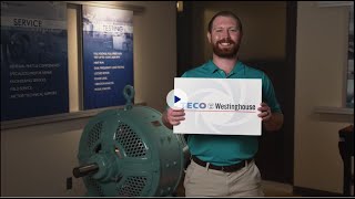 TECO Westinghouse Culture