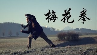 (Shaolin) Meihua Quan 少林梅花拳