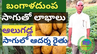 ఆలుగడ్డ సాగు తో అదిక లాభాలు #potatocultivation telugu