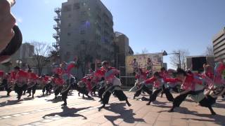 福井大学 よっしゃこい（第14回浜松がんこ祭 浜よさ2014） 東街区 １日目