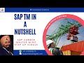 SAP TM (SAP Transportation Management) in a Nutshell