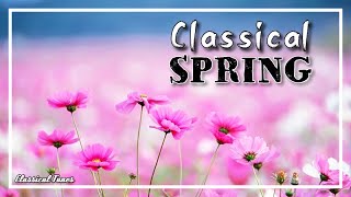 Spring Classical Music | Stinging Revival Blossom Vibes