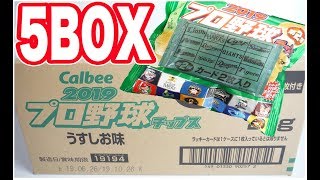 2019 プロ野球チップス 第２弾 『5BOX 開封』 Japanese Baseball card カード カルビー Calbee 食玩 candy toys