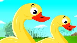 Moral Stories In English | The Tortoise & The Ducks | English Short Stories | Moral Stories