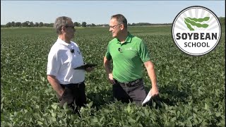 Soybean School: Solving field-level challenges through digital agronomy