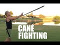 Fighting with a Walking Cane