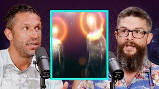 Matthew Johnson PhD. On Psychedelics: Are The Entities Real?