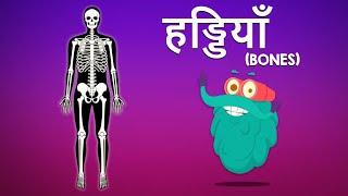 बोन्स | हड्डियाँ | Bones In Hindi | Dr.Binocs Show | Educational Video For Kids | Binocs Ki Duniya