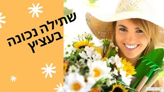 שתילה נכונה בעציץ