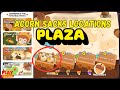 ALL PLAZA ACORN SACK LOCATIONS (Play Together Game)