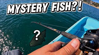 Southern California HALIBUT bite was slow…Then THIS happened! (SoCal fishing)