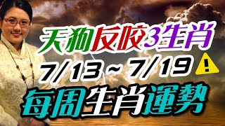 2020生肖運勢週報｜07/13-07/19｜金玲老師（有字幕）