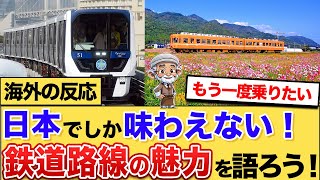 【海外の反応】日本でしか味わえない電車の魅力って何？　#電車 #日本旅行 #海外の反応