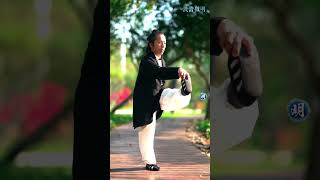 扳腿 傳統武術基本功（十七） Tai chi Tutorial 余教練親授