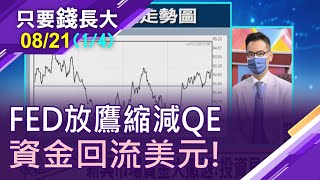 【FED放鷹!外資搜括資金回流美元 新興市場面臨資金大撤退!投資如何見風轉舵?】20210821(第1/4段)只要錢長大*王夢萍(馮志源×游庭皓)