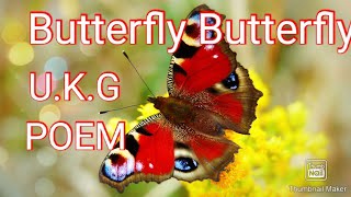 Poem- English poem/ Butterfly Butterfly Poem / poem #Butterfly #shorts