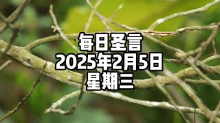 【每日聖言】2025年2月5日 星期三