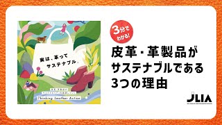 3分でわかる！皮革・革製品がエコでサステナブルな理由(靴・バッグ・カーシート等)