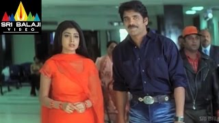 Nenunnanu Telugu Movie Part 12/13 | Nagarjuna, Aarti Aggarwal, Shriya | Sri Balaji Video